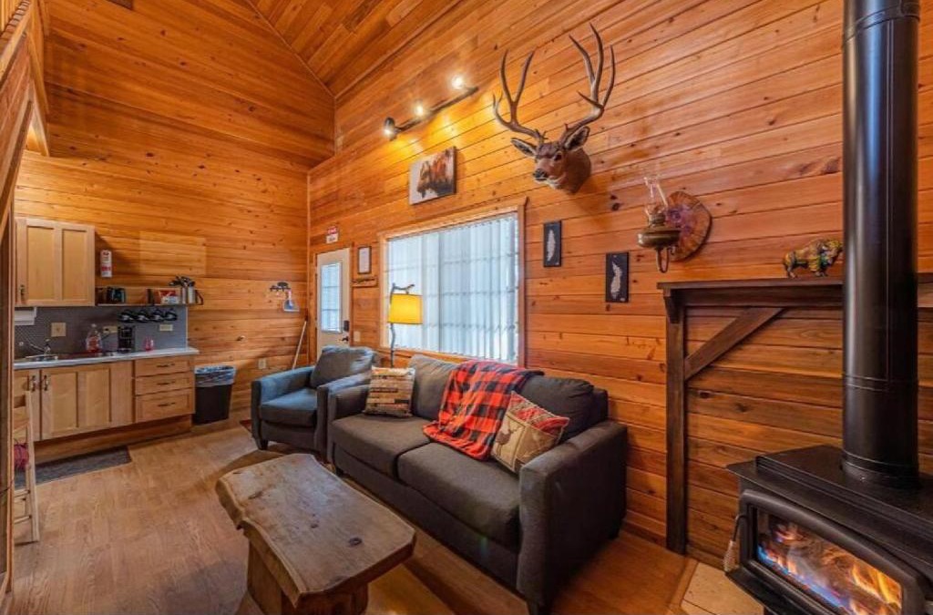 Christopher Creek Ski Chalet | Cabin #1 Buffalo Herd -Pet Friendly - Sleeps 6 - Playground & Game Room