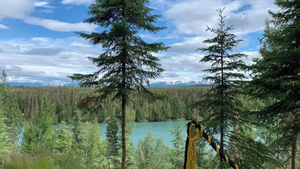 Sterling Cabin | Cabin 2 on the Kenai River