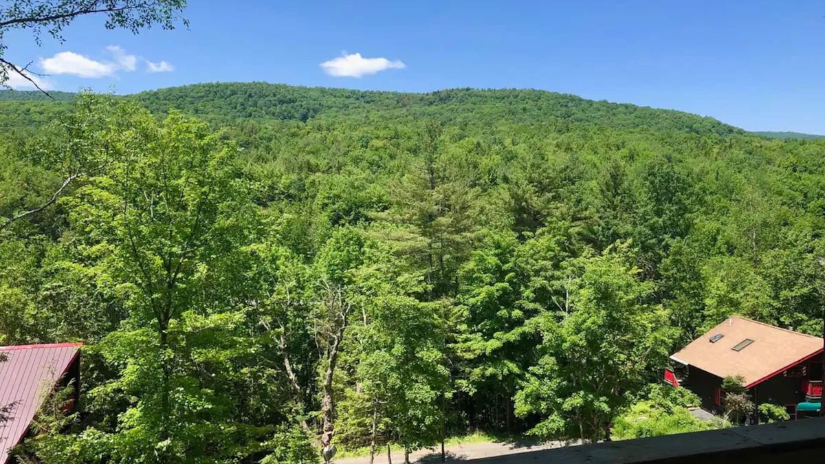 Waterbury Cabin | Cabin 3 - Austrian chalet