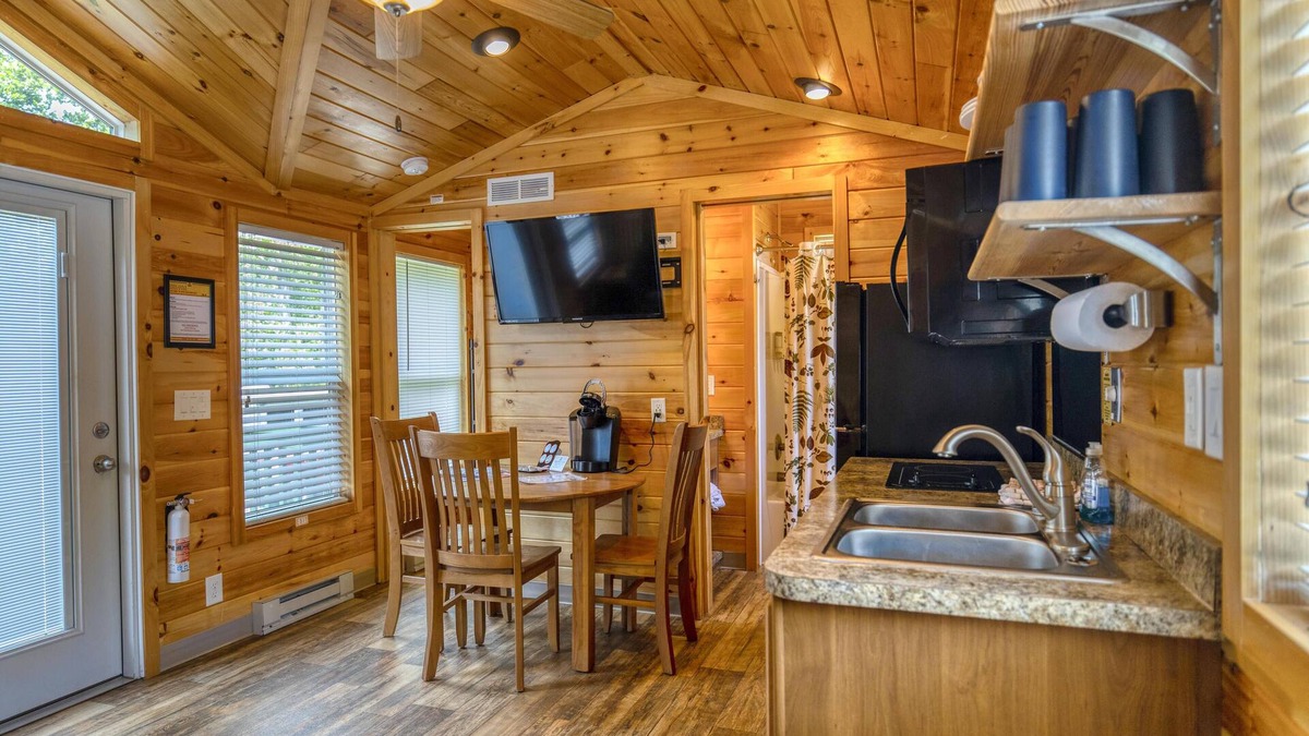 Dickerson Run Cabin | Cabin 5 - Beautiful spacious cabin w/loft and lots of windows! Breathtaking view with facing the river.