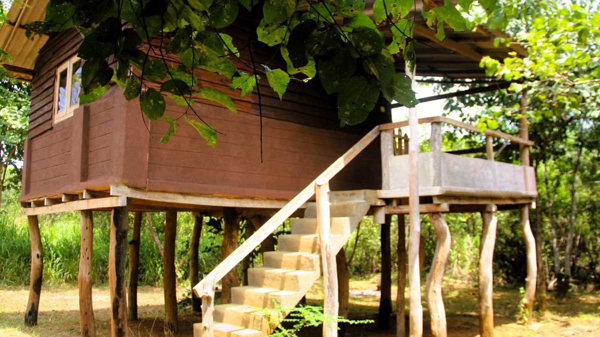 Habarana Cabin | Cabin Air Conditioned - Eagles Wing's GuestHouse