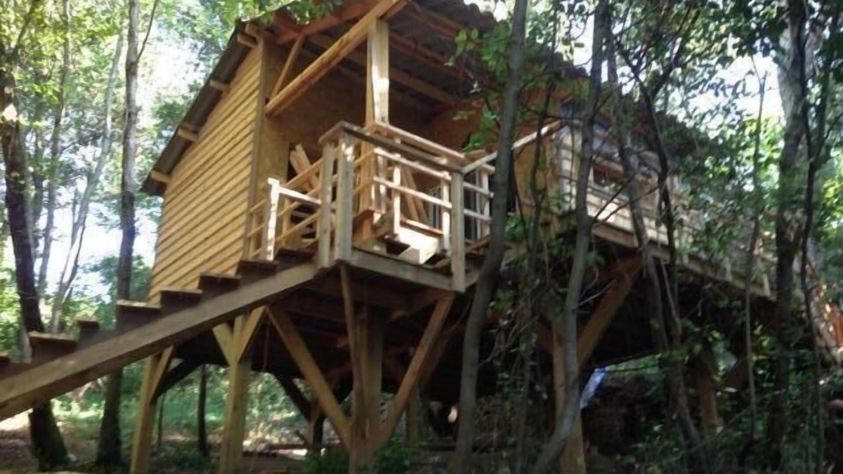 Cervione Cabin | cabin among the trees