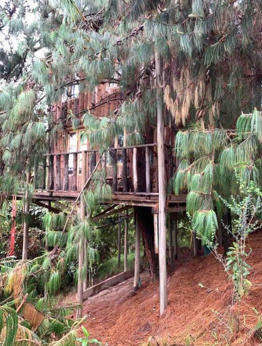 Subachoque Ski Chalet | Cabin at Blueberry Farm