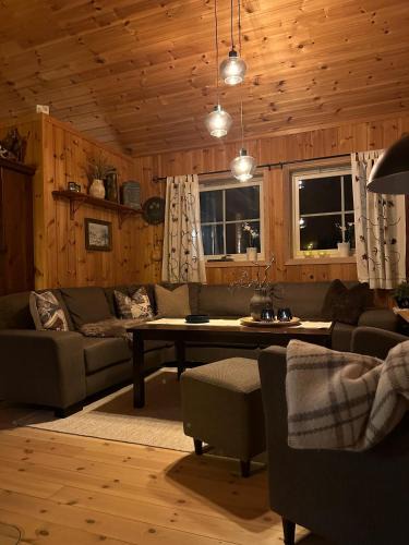 Amot House | Cabin at Furutangen - 3 bedroom family cabin