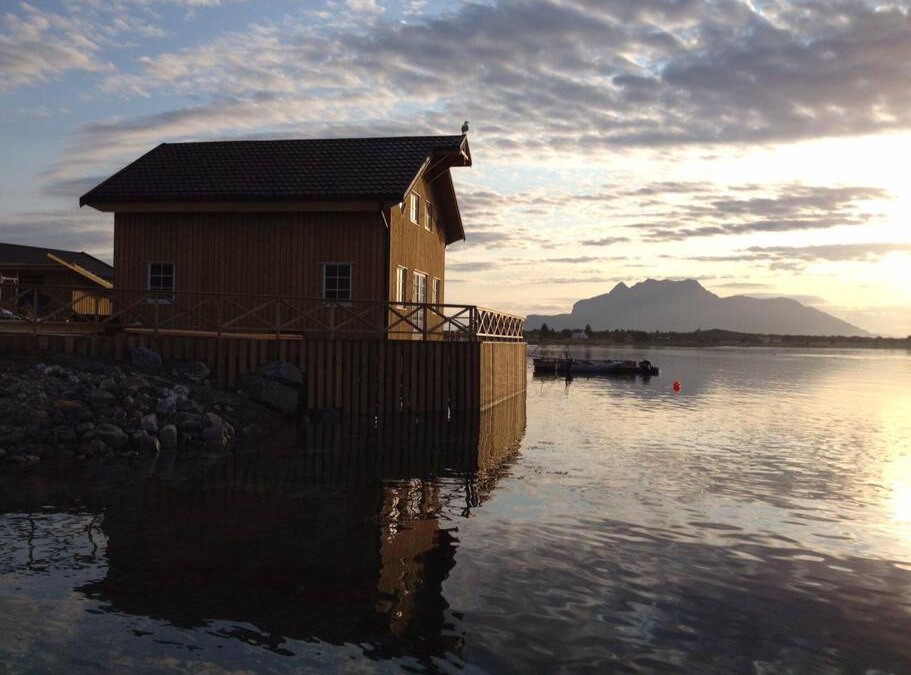 Solfjellsjoen House | Cabin at the sea. Approved for tourist fishing