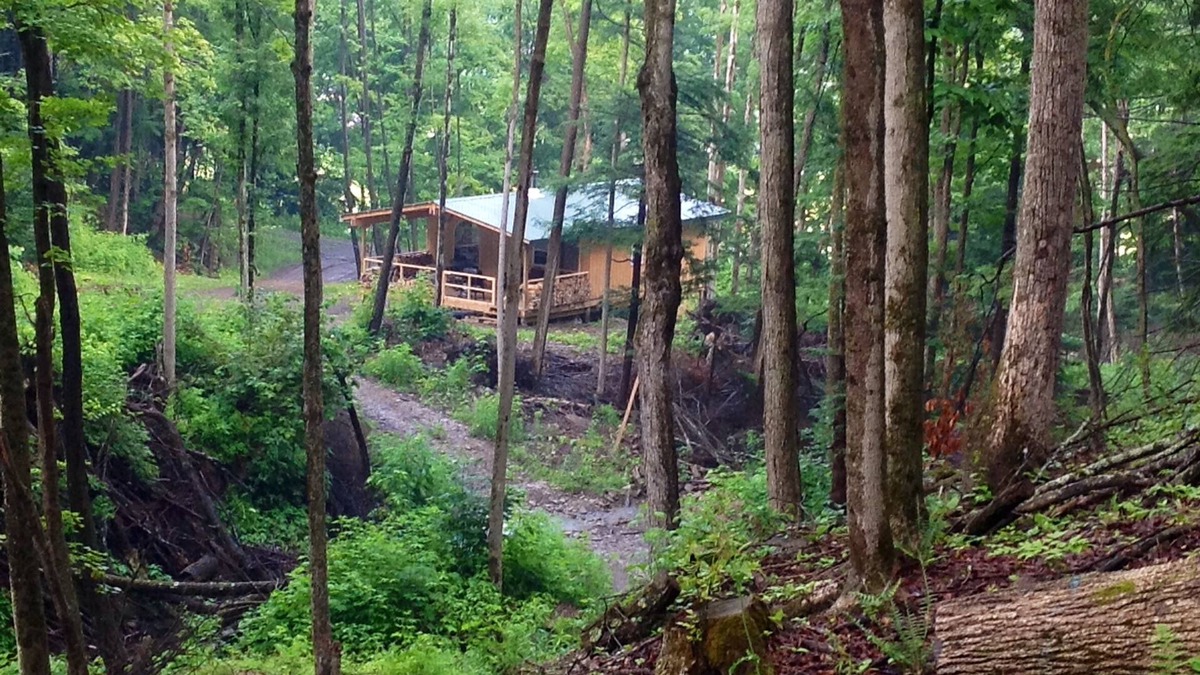 Swain Cabin | Cabin Creek Getaway by Letchworth State Park - Waterfalls & Woods!