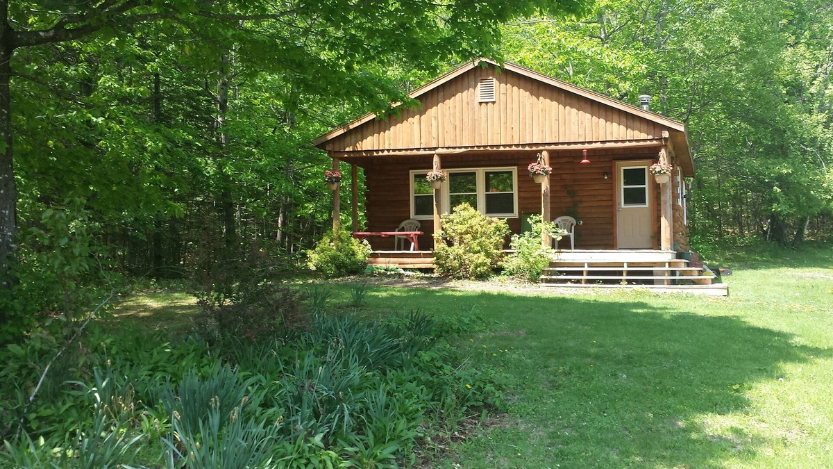 Exeter Cabin | Cabin in scenic woods with hiking trails, firepit, horseback riding nearby