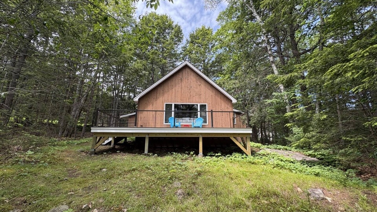 Bristol House | Cabin in the woods/Bristol