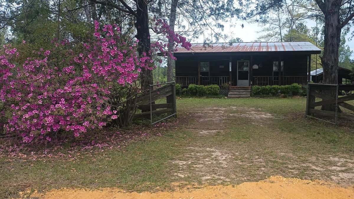 Chapman Cabin | Cabin in the Woods