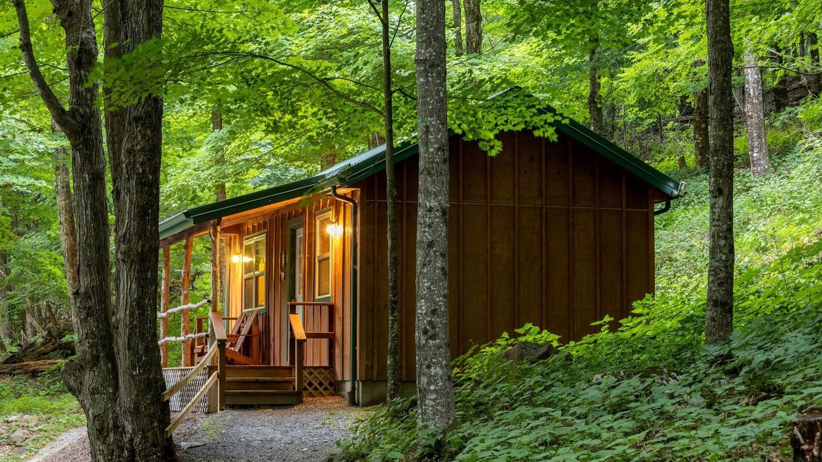 Allegheny Mountains Cabin | Cabin in the woods w/WIFI. >1 mi to Mon. Forest