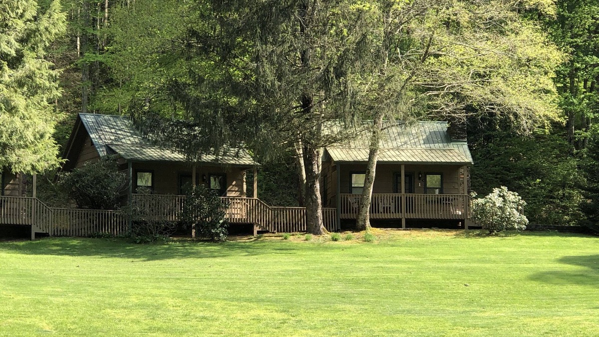 Rabun Gap Cabin | Cabin on a hillside overlooking beautiful Valley Springs Lake pet friendly (dog)