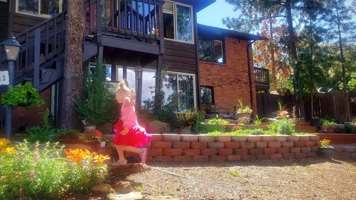 Northeast Colorado Springs House | Cabin's entire, private lower level w/mountain view & cozy, comfortable living.