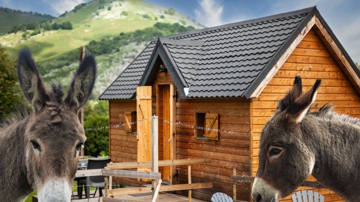 Segus Cabin | Cabin view on the mountain
