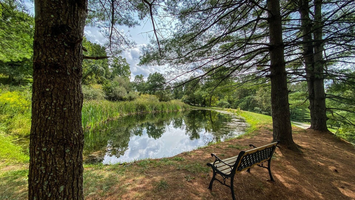 Logan Cabin | Cabin with Fishing Pond in the Hocking Hills