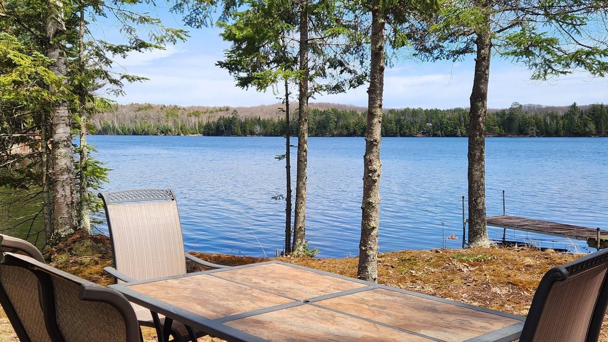 Presque Isle Cabin | Cabin with private peninsula on Presque Isle Chain of Lakes!