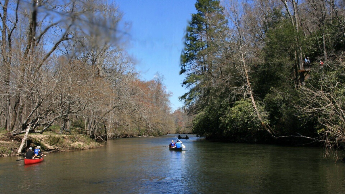 Brevard Cabin | Cabin with two trout rivers onsite. Brevard and Pisgah National Forest close by.