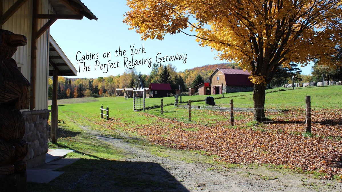 Hastings Highlands Cabin | Cabins on the York - Loon Cabin #1