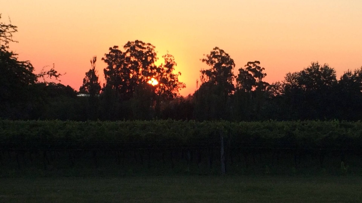 Colon House | Cabins surrounded by vineyards, with history and something new to discover, lots of peace
