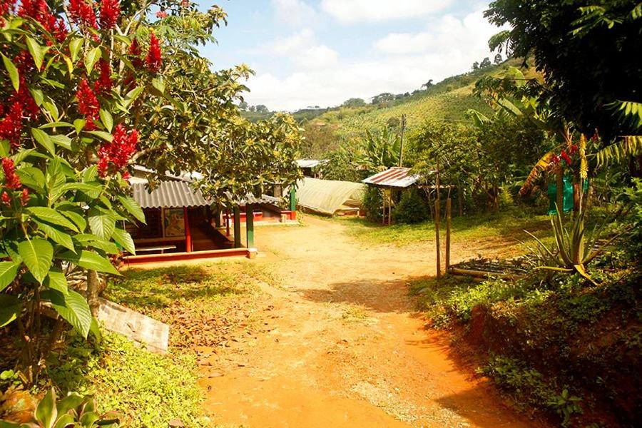 Buenavista House | Caficultur -Alojamiento Rural