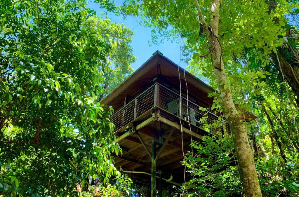 Bayview Heights Resort | Cairns Rainforest Retreat