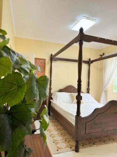 Badoc Apartment | Cajigal Farmhouse - high speed converge internet and AC in 2 bedrooms