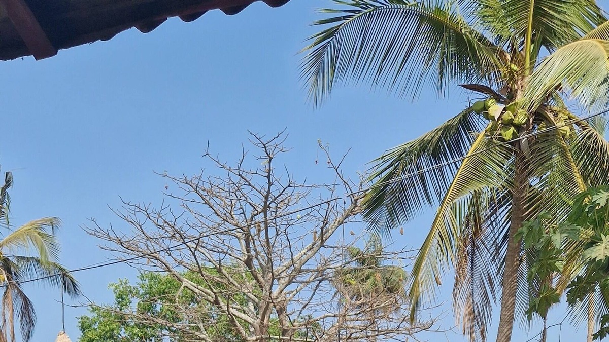 Bubaque Hotel | Cajou Lodge