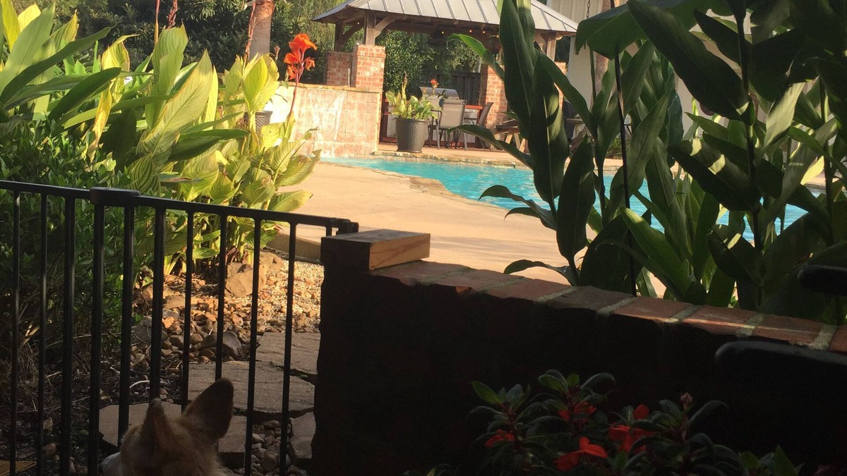 Milton House | Cajun Getaway: "Home Away From Home" A little piece of paradise. Very relaxing.