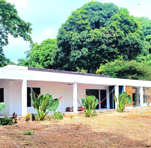 Calabazo House | CALABAZO Casa MonoCai