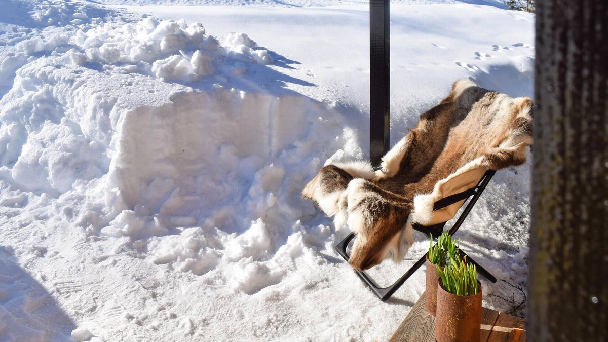 Al Municipality House | Call to all nature lovers