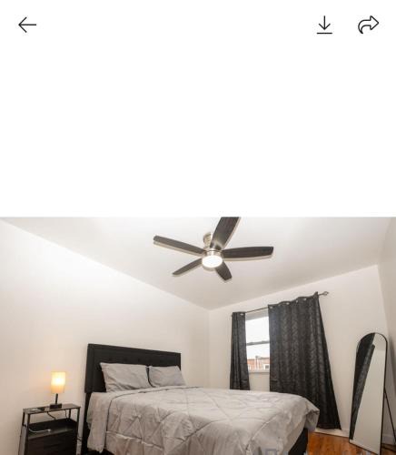 Canarsie House | Calm and collective
