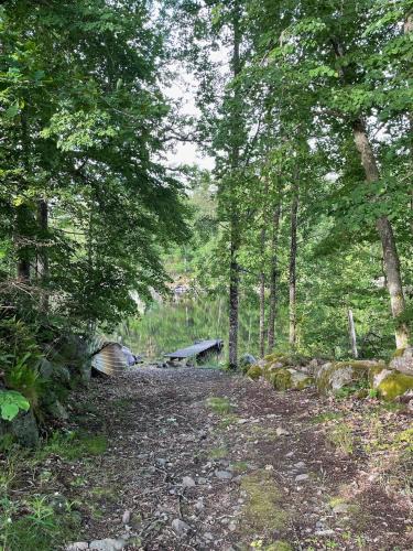 Växjö Villa | Calm and private country side property with own waterfront by large river