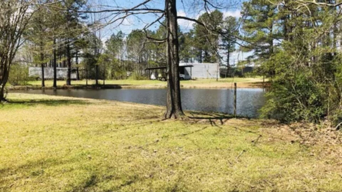 Shannon House | Calm and relaxing hideaway