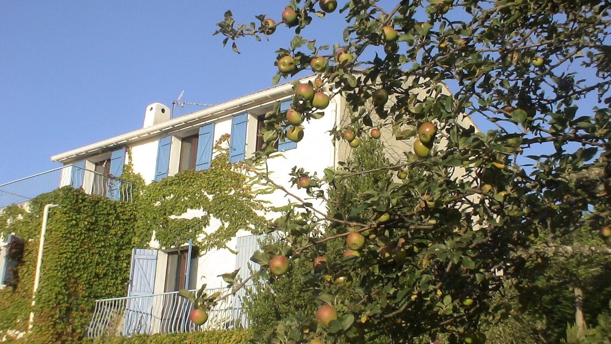 Porto-Vecchio House | calm freshness in the mountains just 30 minutes from the sea, in the Corsican Natural Park
