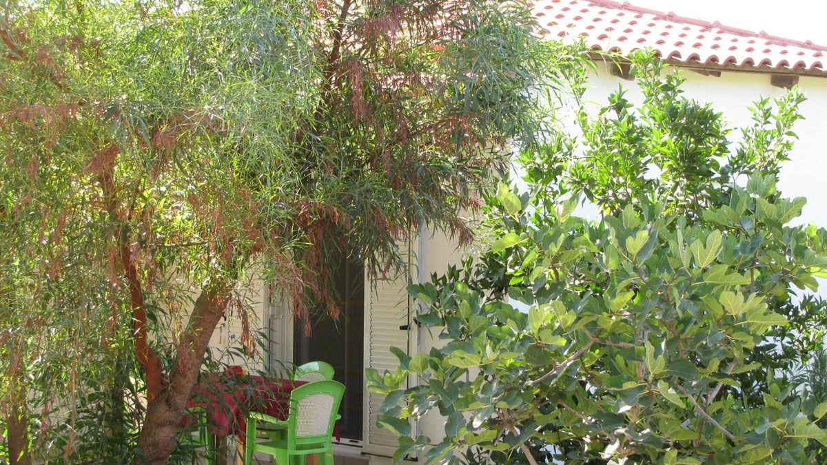 Kakovatos House | Calm located, amid an olive grove, close to the beach, wifi | holiday house Ilia