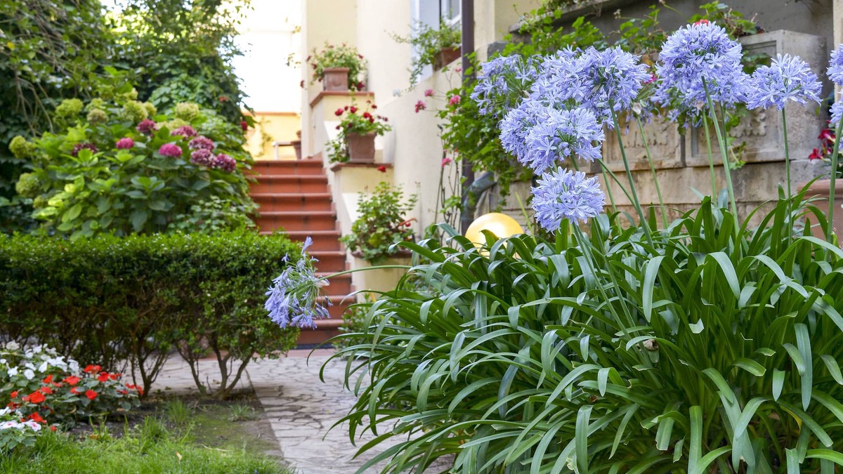 Tempio Pausania House | Calycanto