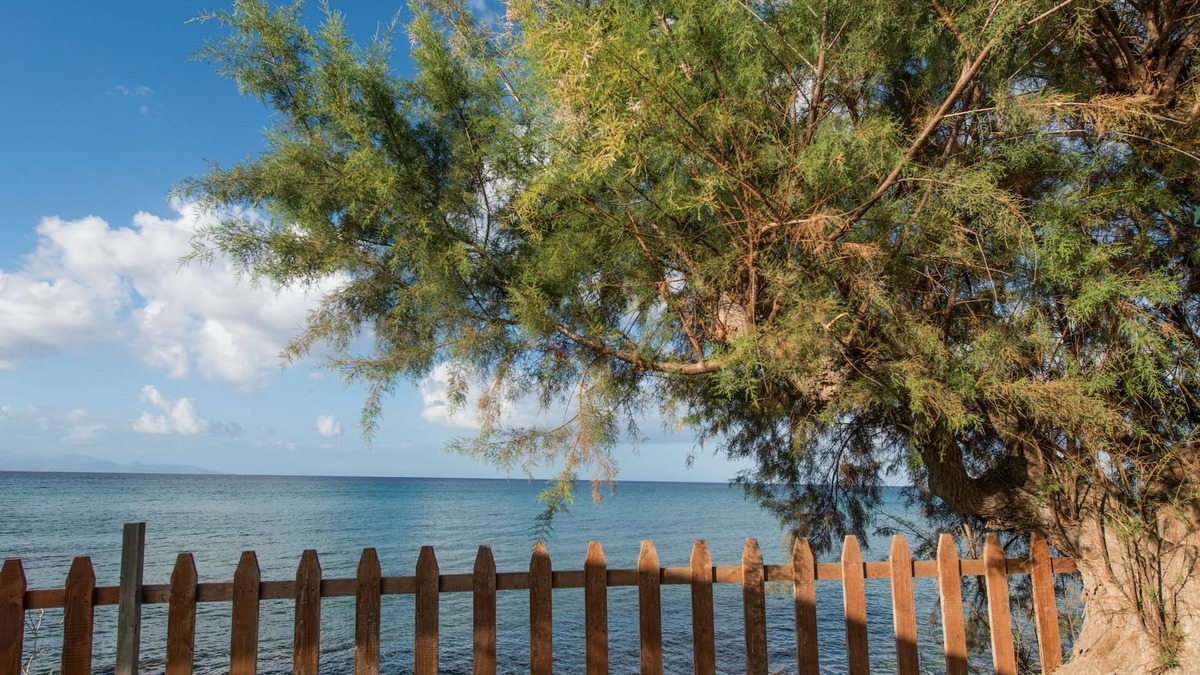 Amoudi House | Calypso Studios