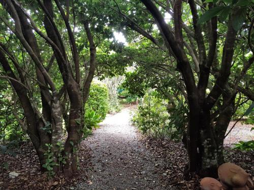 North Tamborine Cabin | Camelot Boutique Accommodation