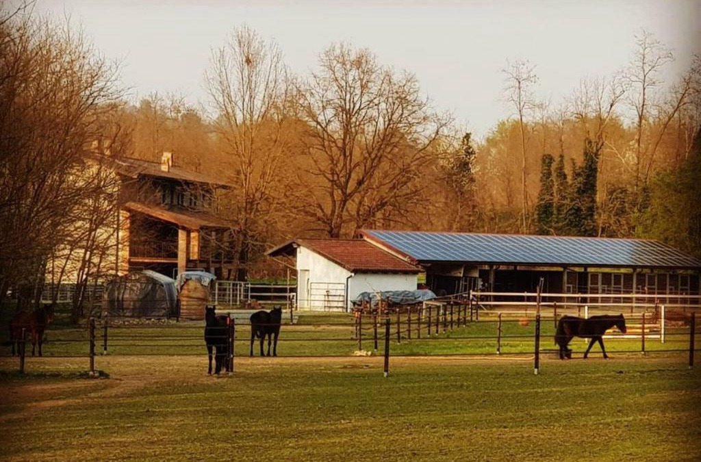 Cossano Canavese Bed & Breakfast | Cameloth B&B