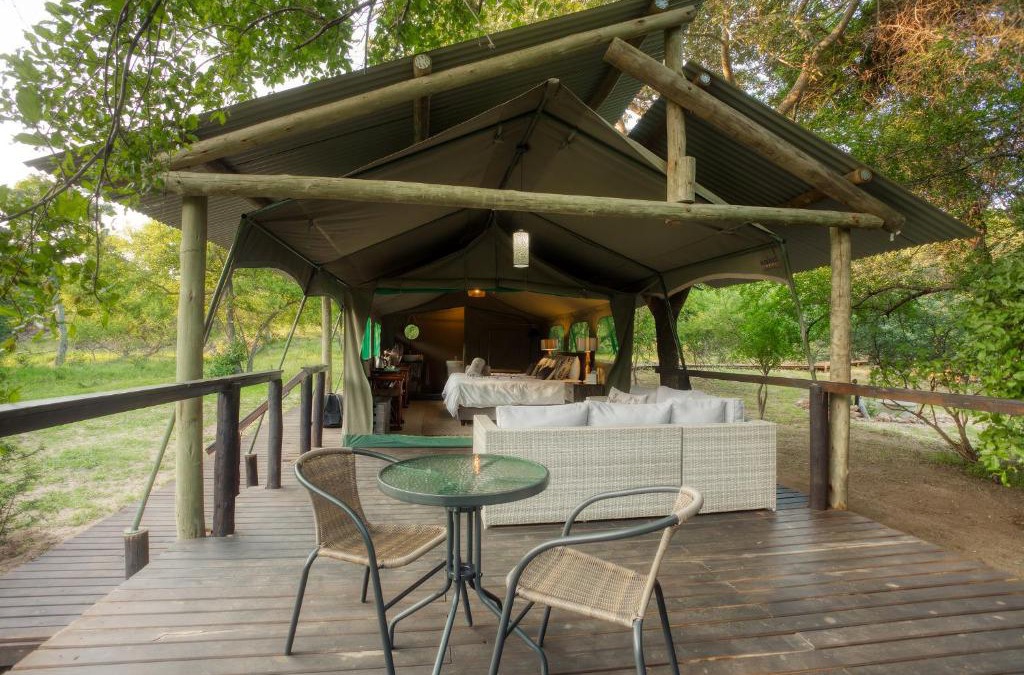 Thorny Bush Game Reserve Other | Camp Bethel