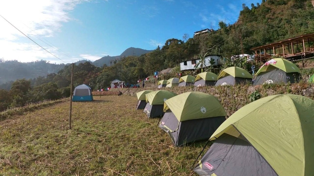 Henima Other | Camp Hornbill By GRB