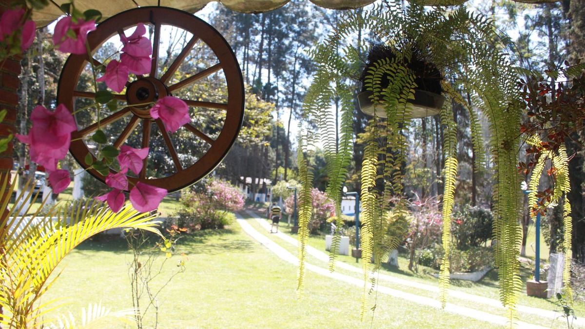 Mato do Gado Cabin | Camp Marallin