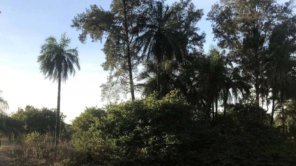Abeme Hotel | Campement les Antilles