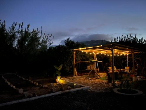 Corbera Other | Camper Mercedes en la naturaleza