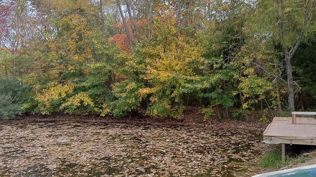 Akin RV Rental | Campground, in the heart of the 2024 Solar Eclipse path, country setting w/pond