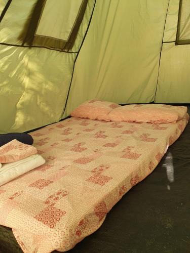 Marinella di Selinunte Other | camping a selinunte (Relax fra gli ulivi)