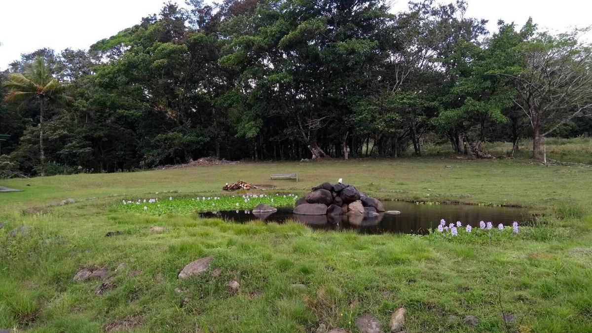 Piedras RV Rental | Camping and RV parking area 7