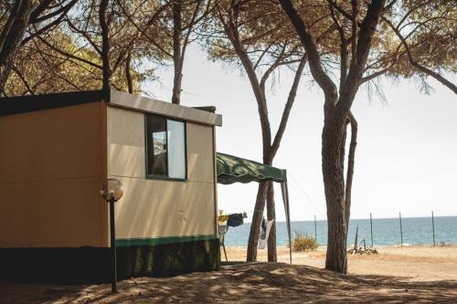 Roccelletta Other | Camping Cammello Grigio