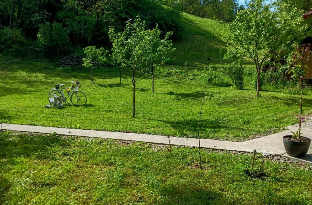 Vata de Jos Other | Camping Ciungani