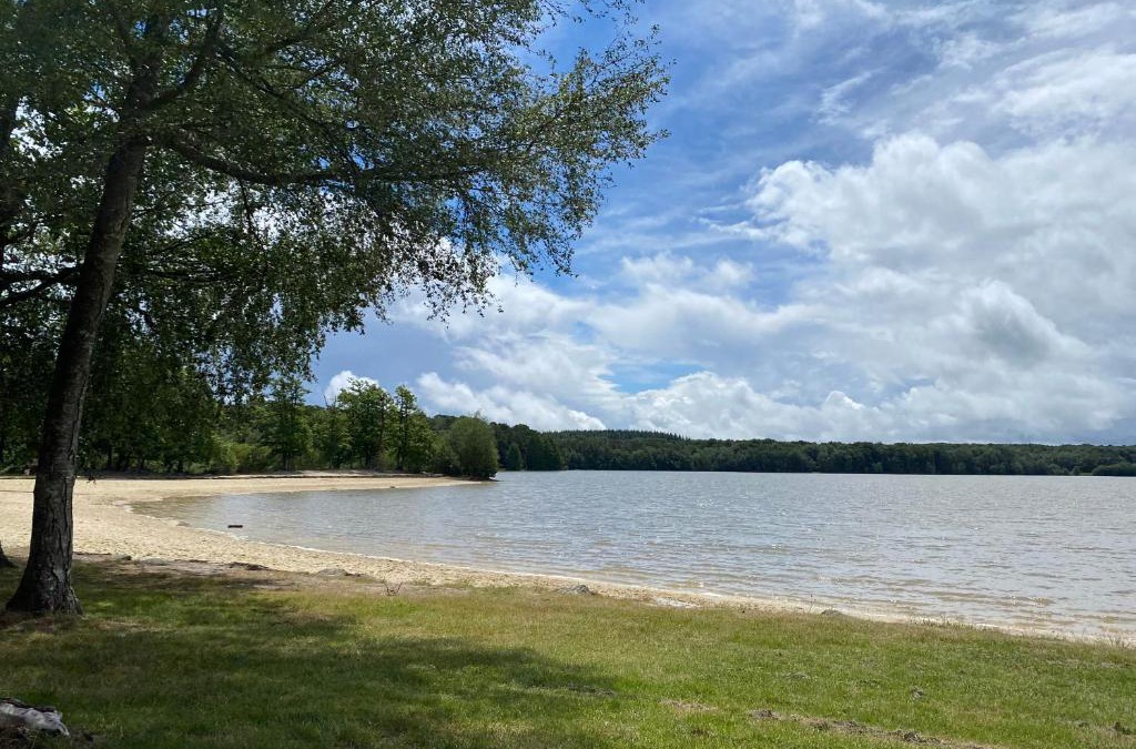 Sille-le-Guillaume Other | Camping de la Forêt Seasonova