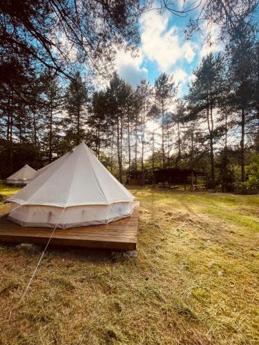 Przywidz Other | Camping Ekologiczny Koziołeczek